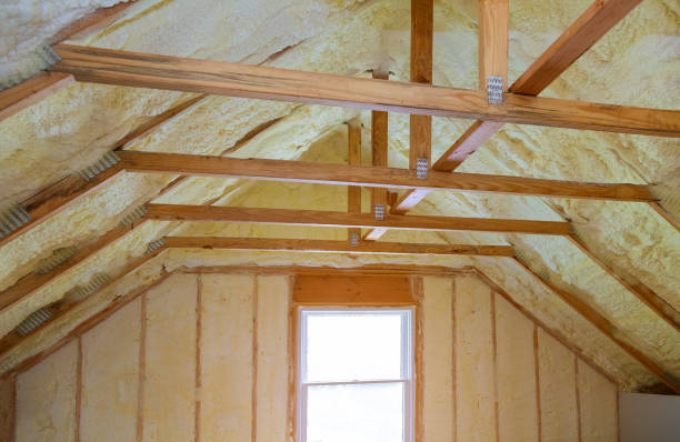 Best Commercial Insulation in St Paul, VA