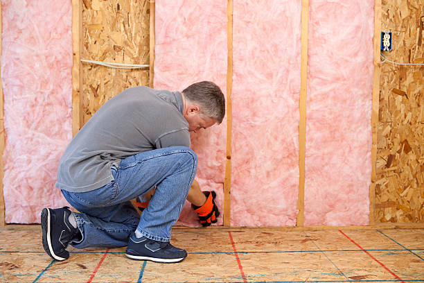 Best Residential Insulation in St Paul, VA