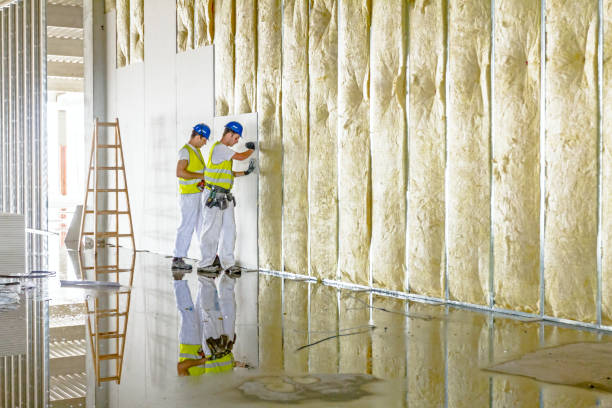 Best Insulation for Specific Applications in St Paul, VA